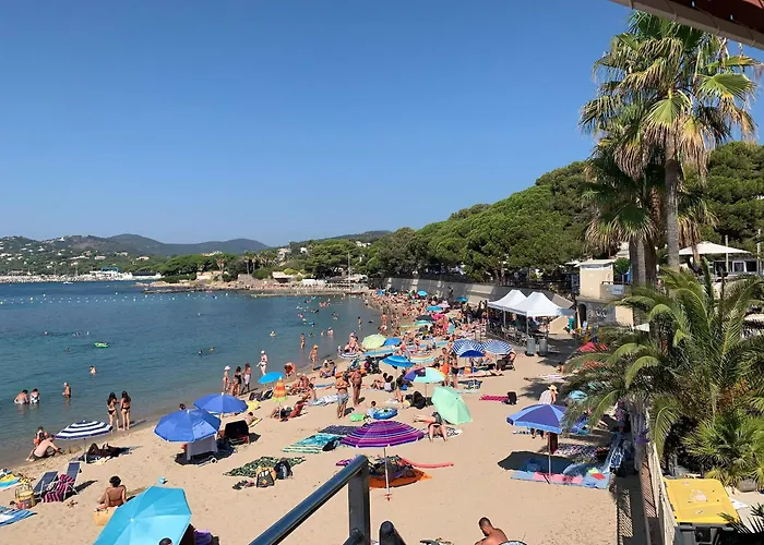 Vue 罗克布伦河畔阿尔让