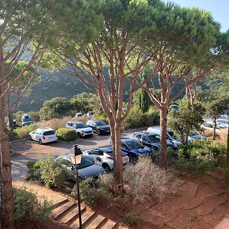 Vue Roquebrune-sur-Argens